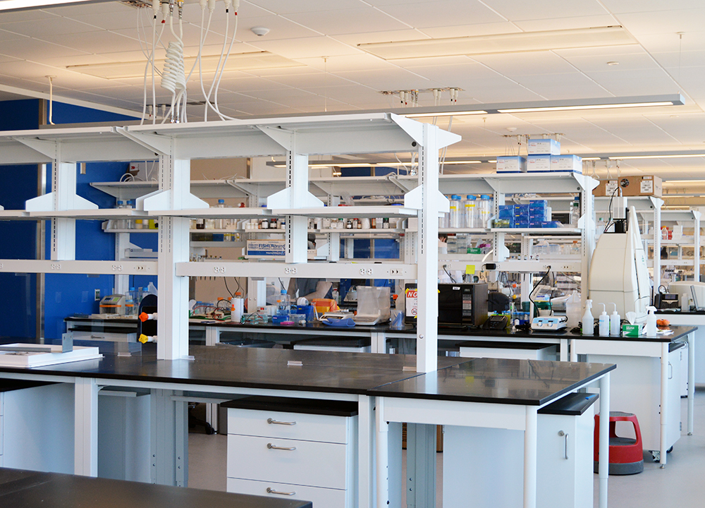 Electrical Expertise Across Diverse Industries